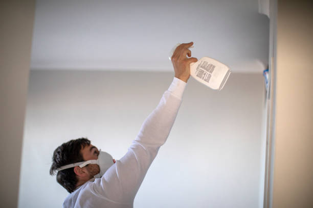 Best Mold Removal Company Near Me  in Red Bank, TN