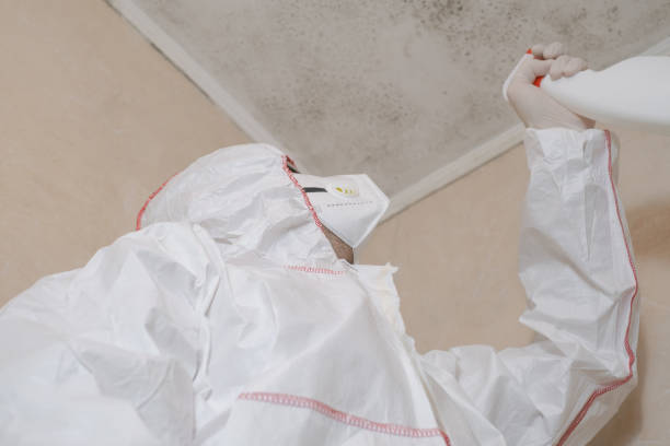 Home Mold Removal in Red Bank, TN