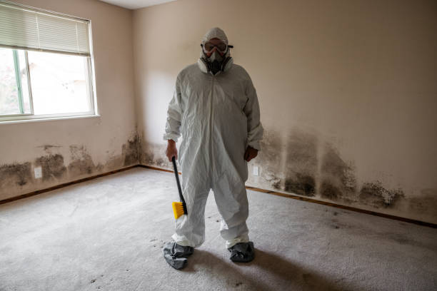 Mold Testing and Removal in Red Bank, TN